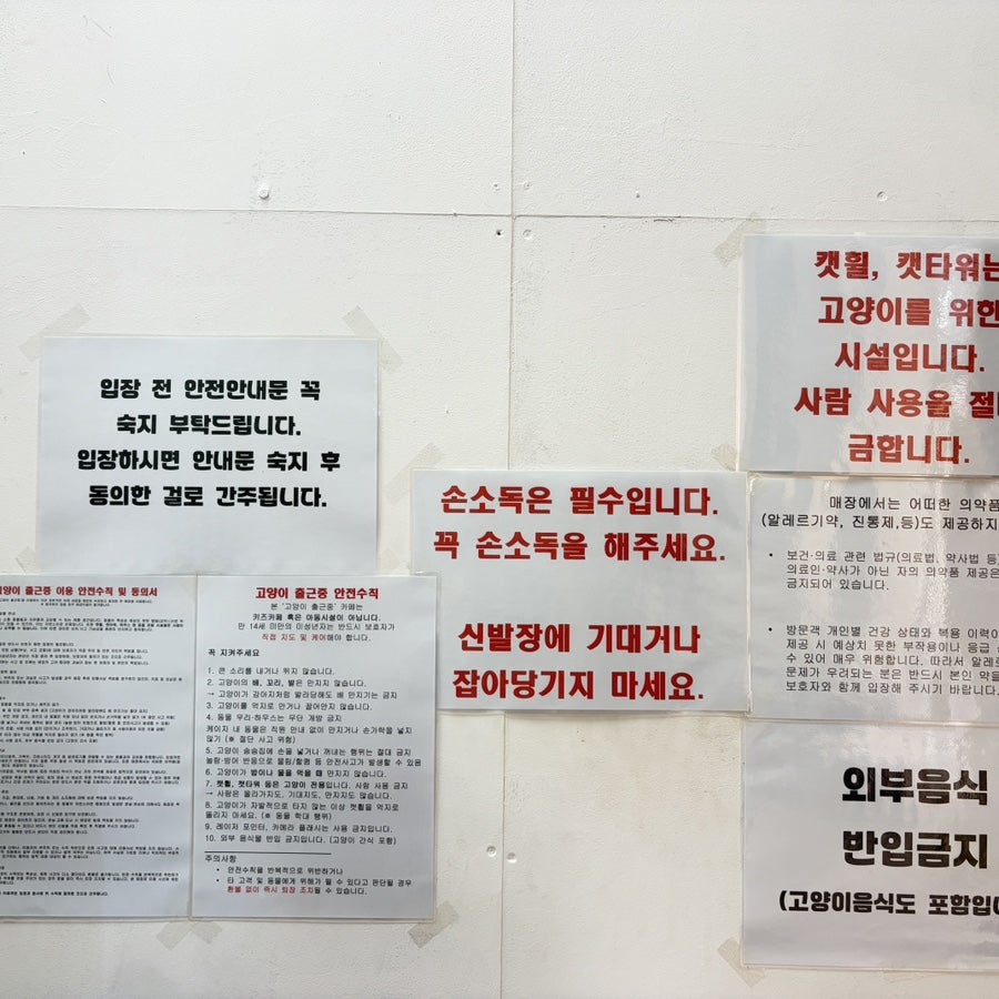 Goyangichulgeunjung photo 3