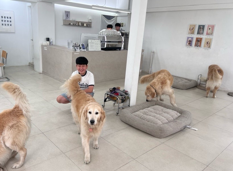 옛날손짜장 사진 3