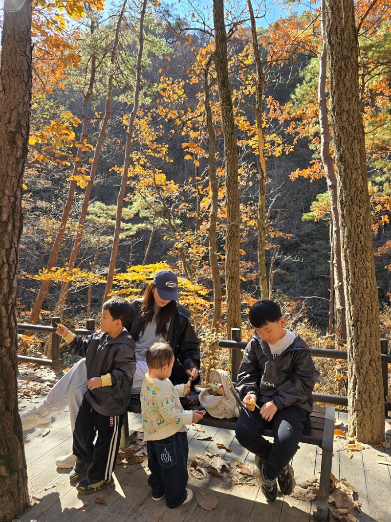 [청송 여행] 아이와 함께 걷는 주왕산 용추협곡 트레킹 코스! 준비물 & 꿀팁 총정리 ✨