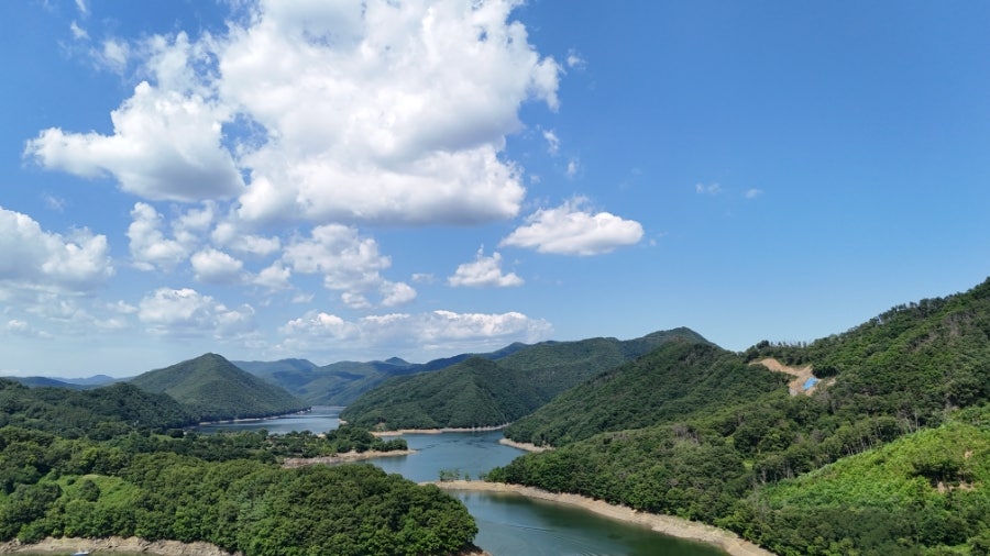 환타파인펜션 사진 2