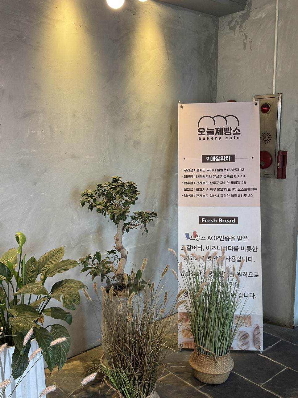 오늘제빵소 사진 6