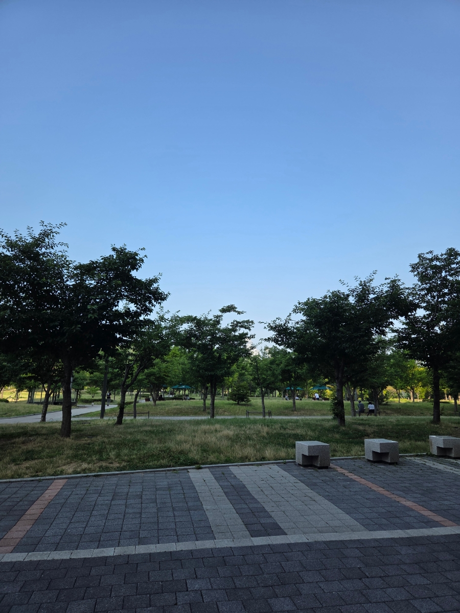 다스브로트 사진 4