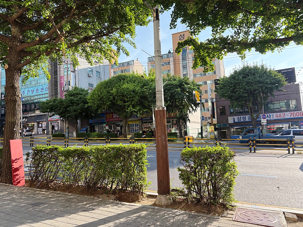 신의주찹쌀순대 사진 3