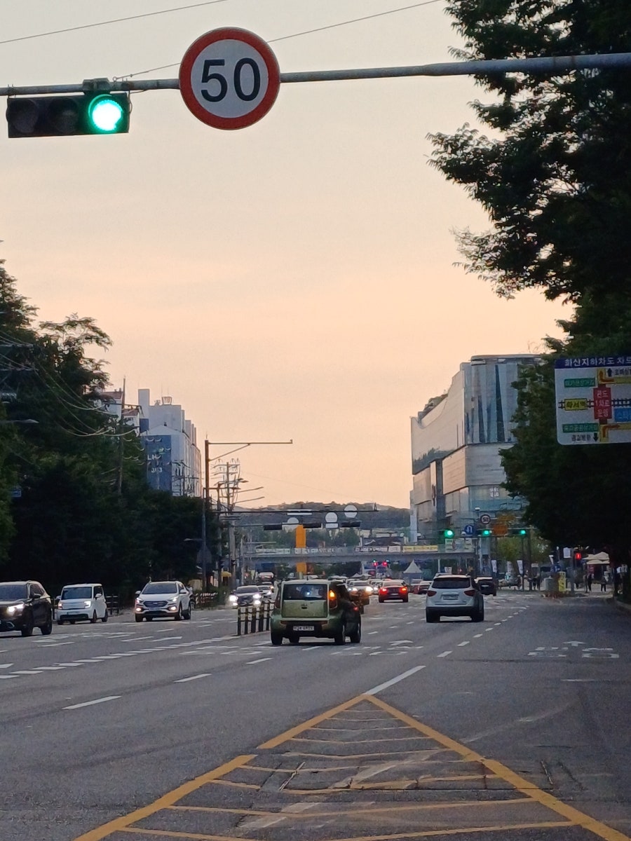 껀룽 사진 2