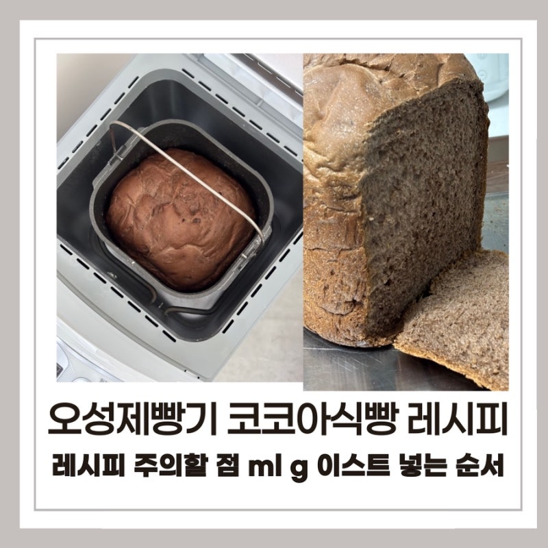 오성제빵기로 코코아식빵 만들기 | 코코아식빵 레시피 주의할 점