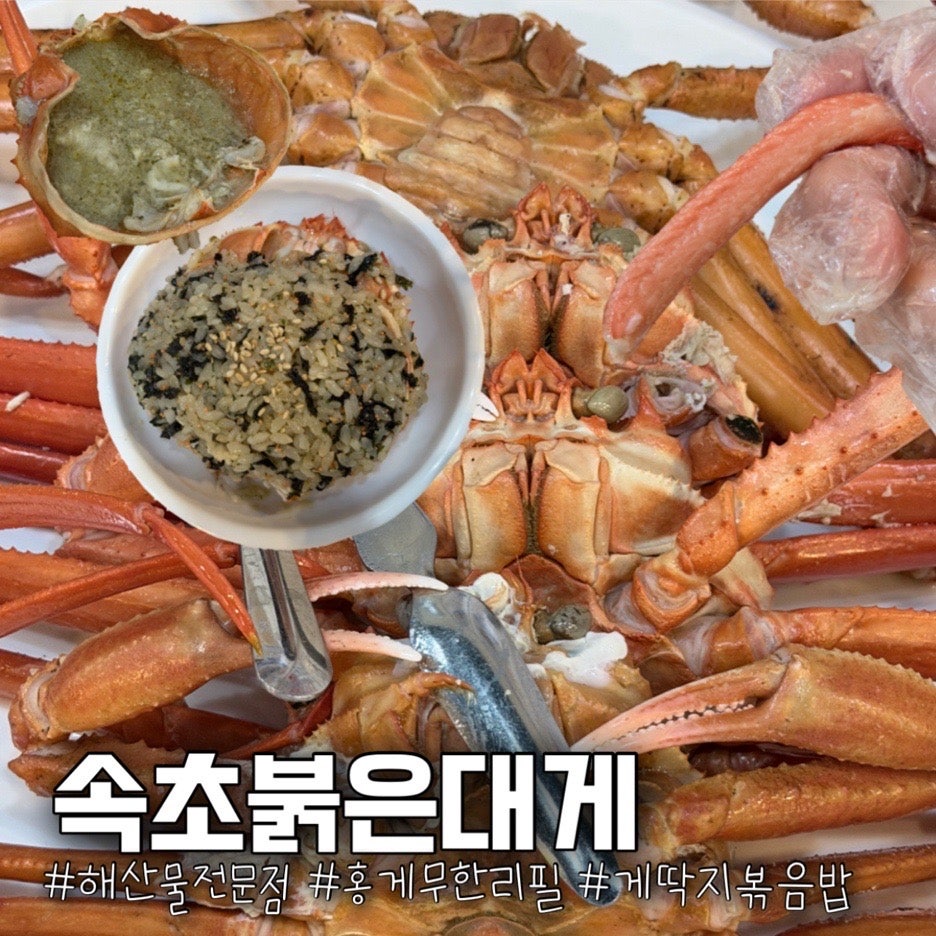 속초붉은대게 사진 1