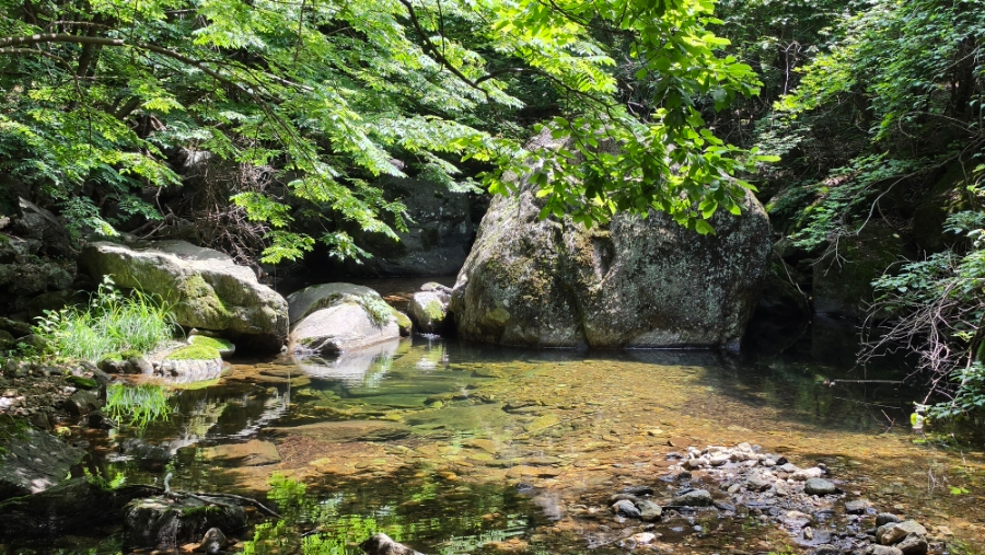큰골 사진 1