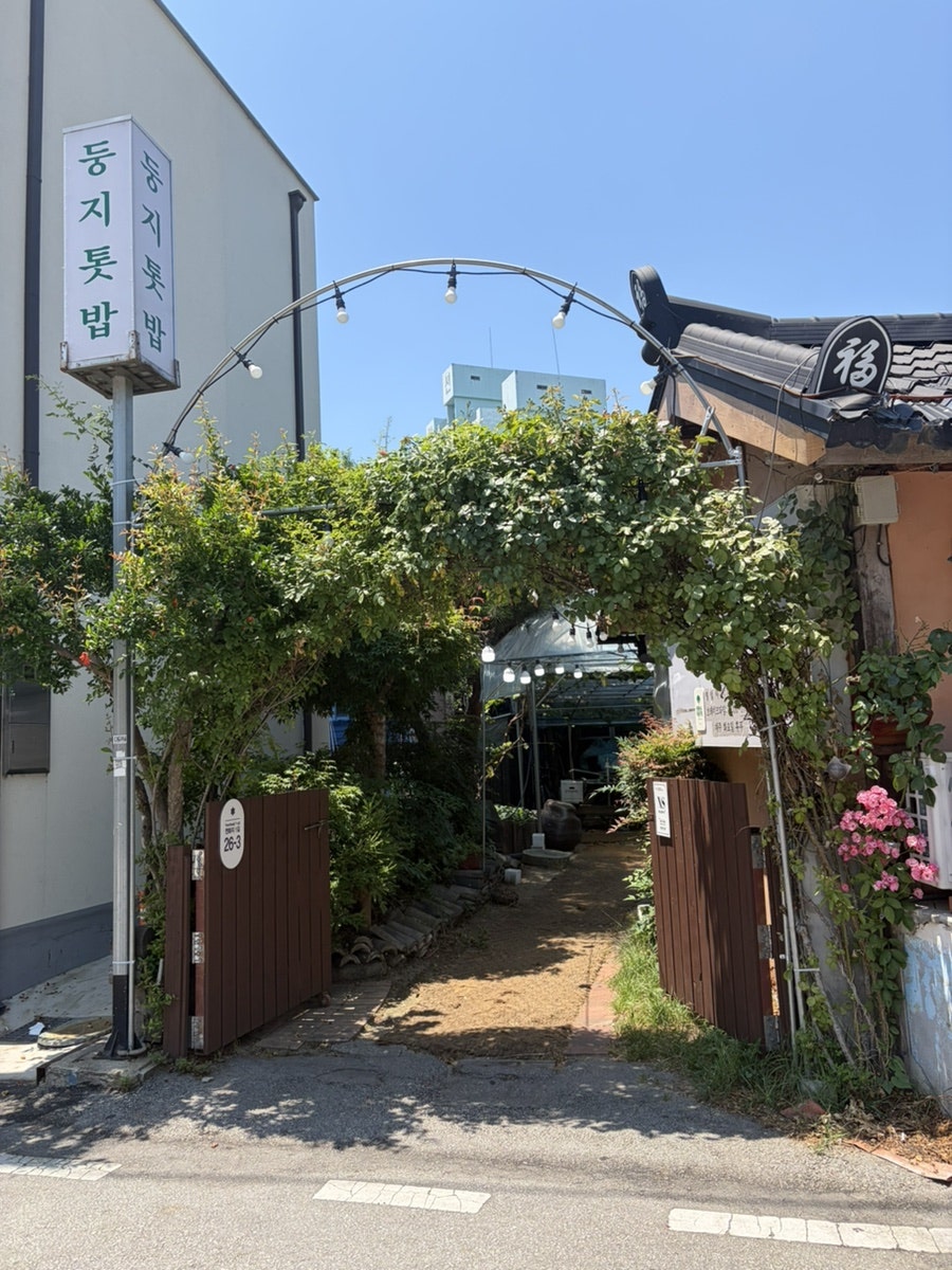 둥지톳밥 사진 6