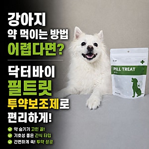 강아지 약 먹이는 방법 어렵다면? 닥터바이 필트릿 투약보조제로 편리하게