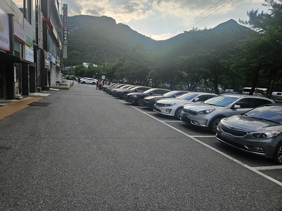 수통골능이버섯백숙 사진 1