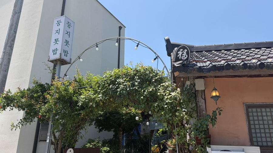 둥지톳밥 사진 5