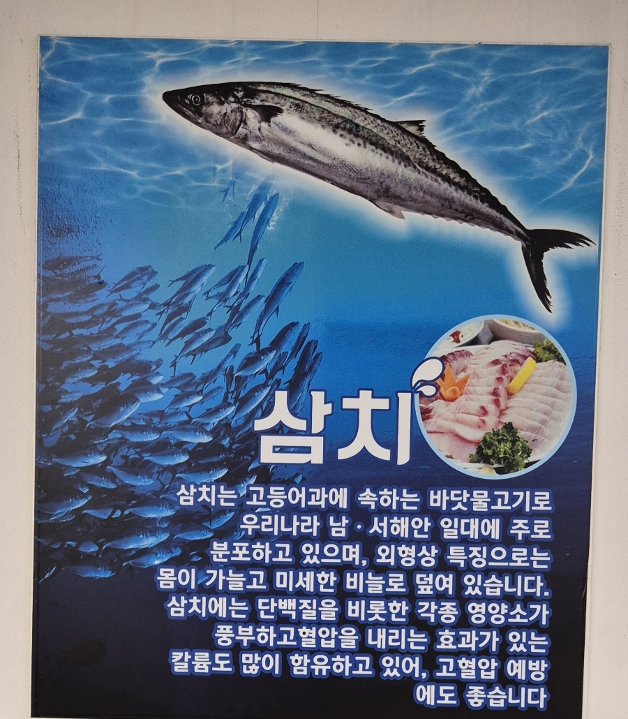 삼치회사랑 사진 6