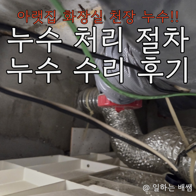 아랫집 화장실 천장 누수 수리하며.. (feat. 누수 보험 특약, 누수 처리 절차, 전조 증상)