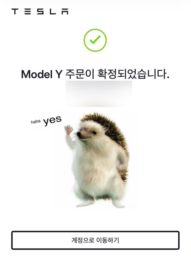 테슬라주니퍼Y구매기1탄 테슬라구매방법 테슬라모델Y다블 다블블