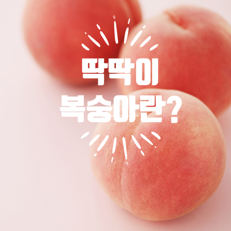 딱딱이복숭아 제철, 대표 품종과 말랑이복숭아 차이, 치유자원5