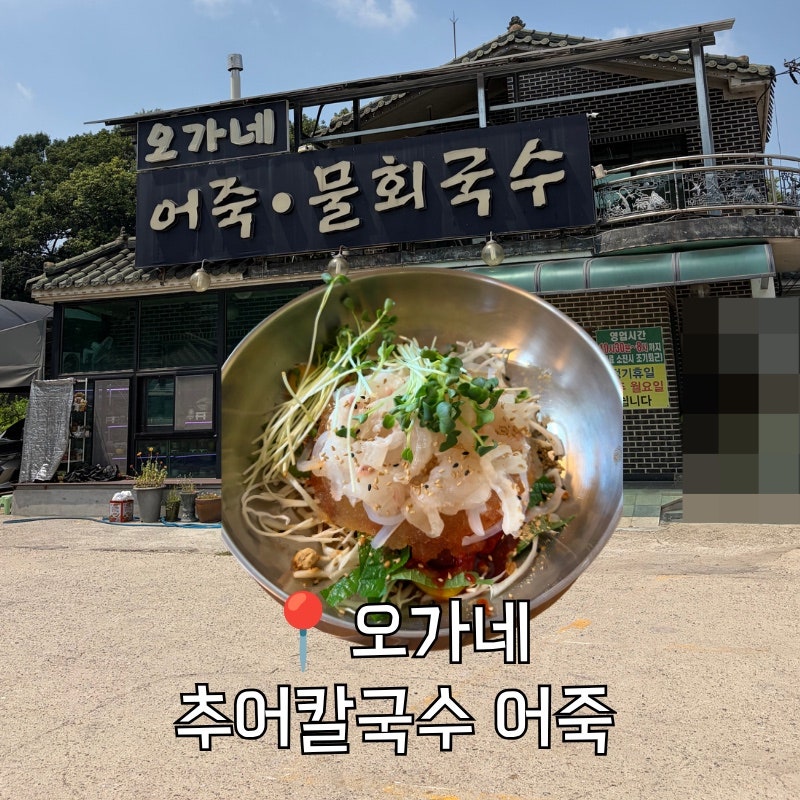 오가네추어칼국수어죽 사진 1
