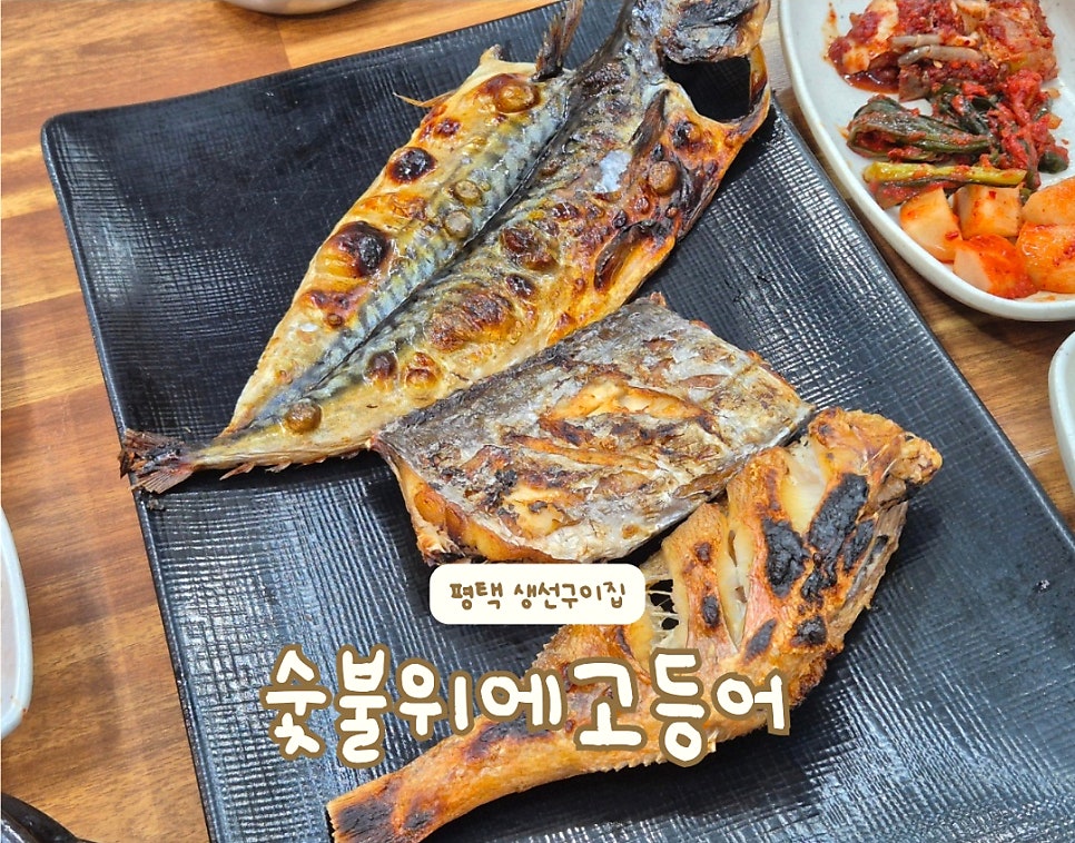 숯불위에고등어 사진 1