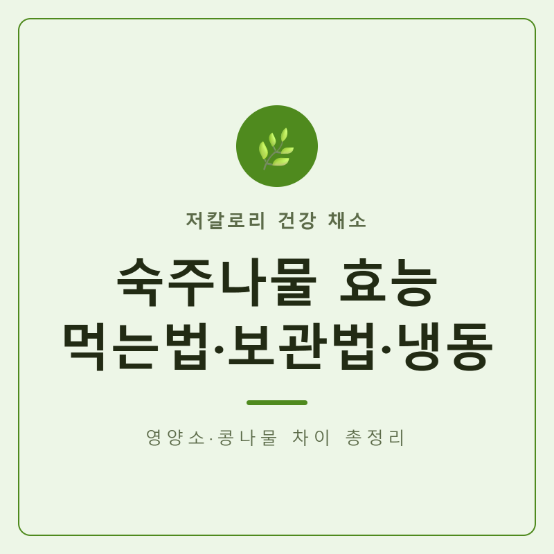 숙주나물 효능과 영양소, 칼로리·먹는 법·요리·보관법·냉동까지