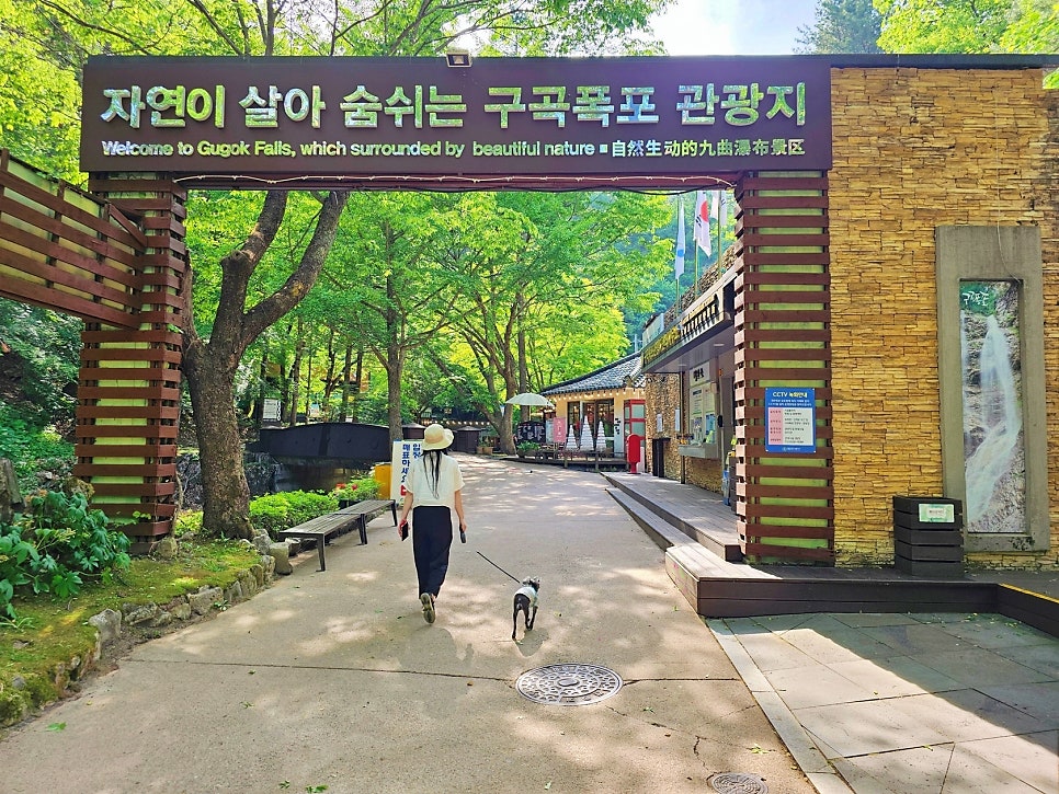 구곡폭포 국민여가 캠핑장 사진 6