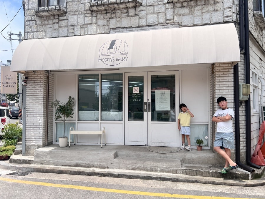 옛날손짜장 사진 1