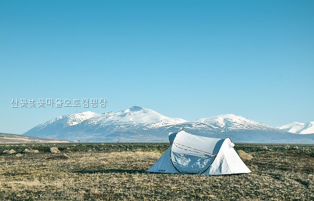 산꽃벚꽃마을 오토캠핑장 사진 2