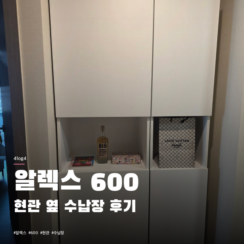 현관 신발장 옆 수납 알렉스 월플렉스 600 400 후기 | 사이즈 두 개 같이 써본 결과