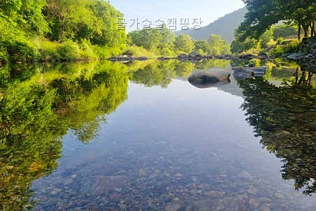 물가솔솔캠핑장 사진 2
