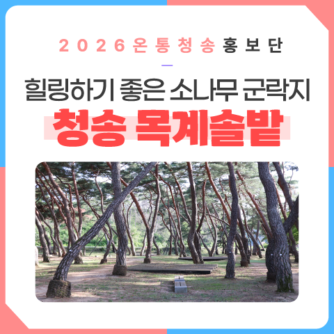 목계솔밭 사진 1