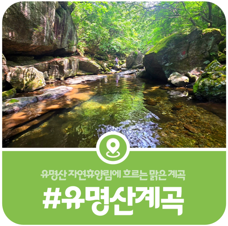 [가평 유명산계곡] 유명산 자연휴양림 물놀이 계곡 이용정보(2026)