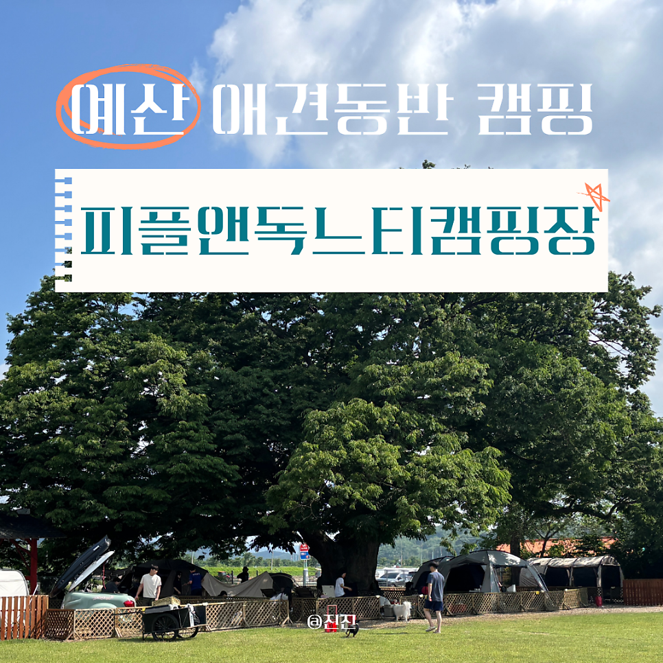 피플앤독느티캠핑장 사진 1