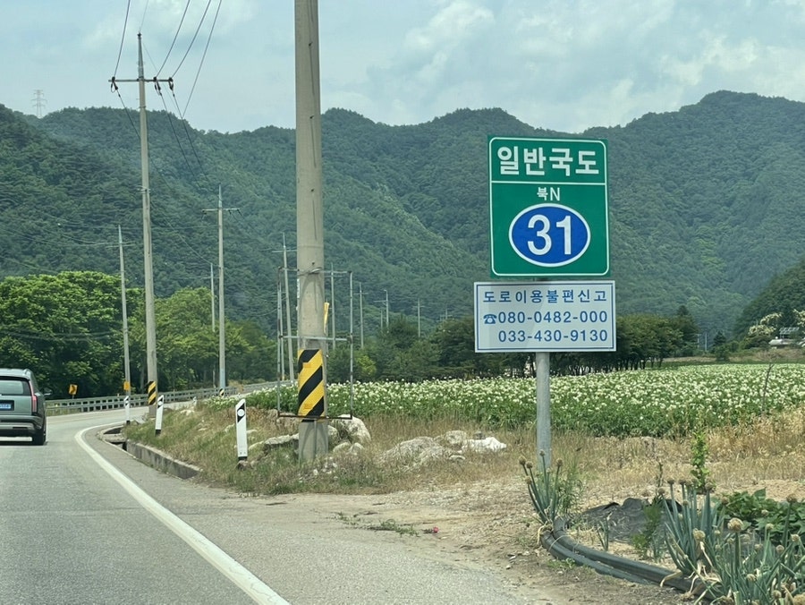 자금성 사진 4
