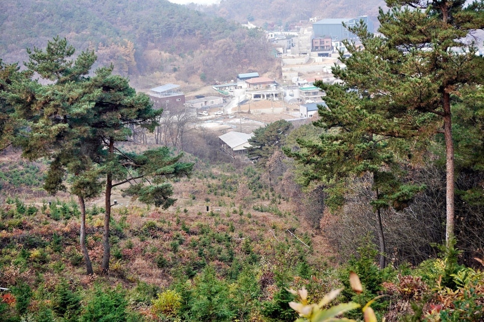 봉성산 사진 6