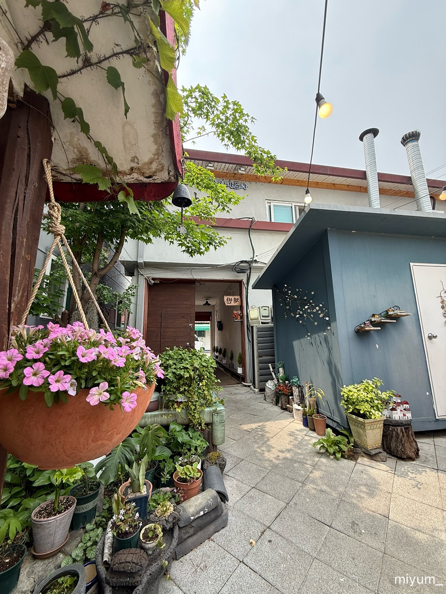 채반 사진 2
