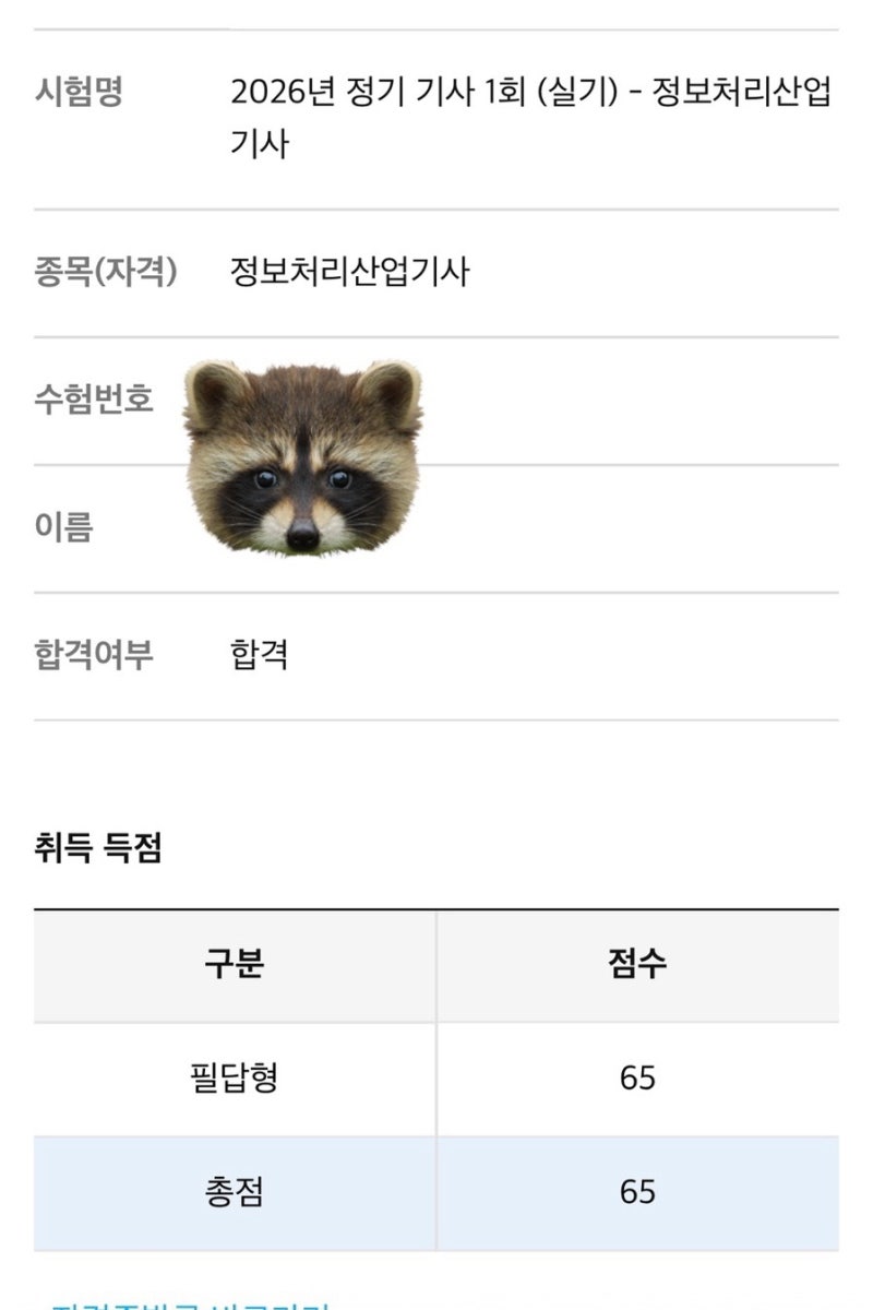 정보처리산업기사 실기 합격 후기｜비전공자 4년 만에 합격한 공부법