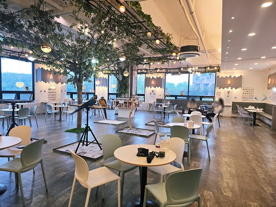 앵무새카페 버드리 전주 사진 6