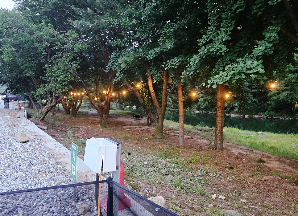 라라랜드 사진 5