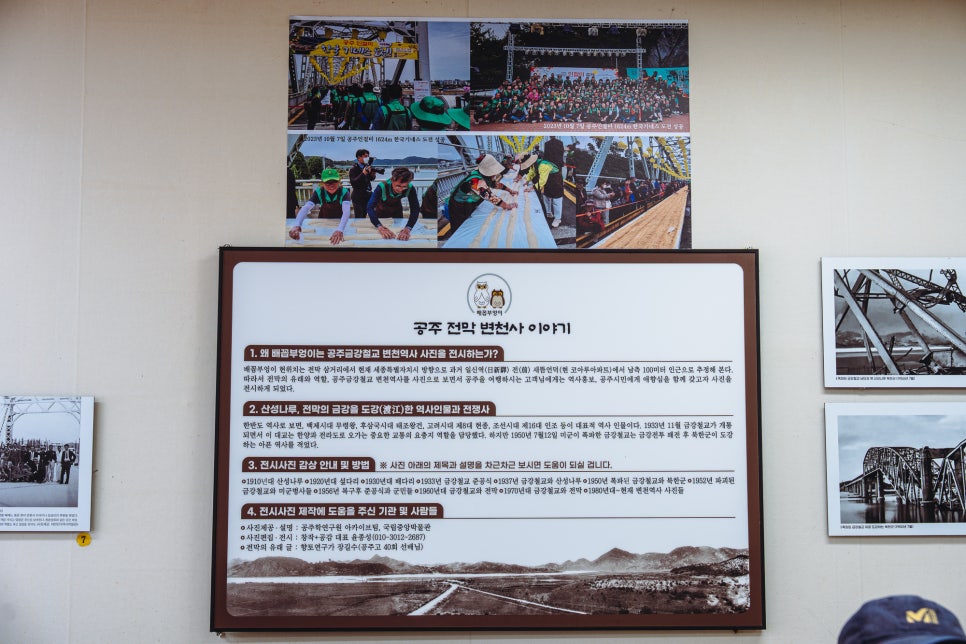 배꼽부엉이 사진 6