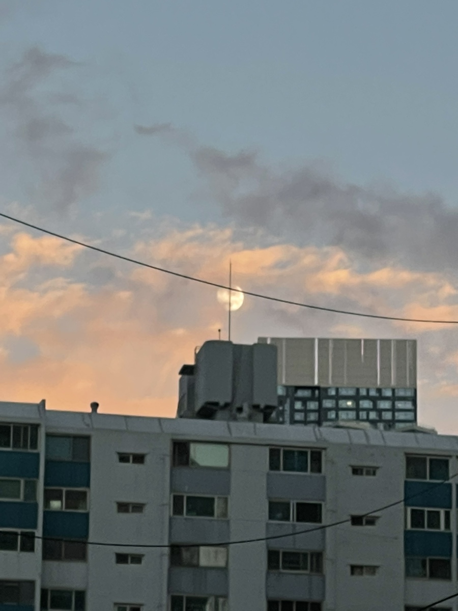 호호빈대떡 사진 2