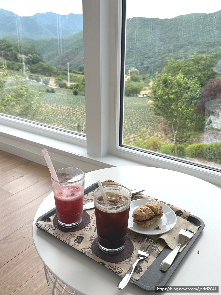 패누 사진 2