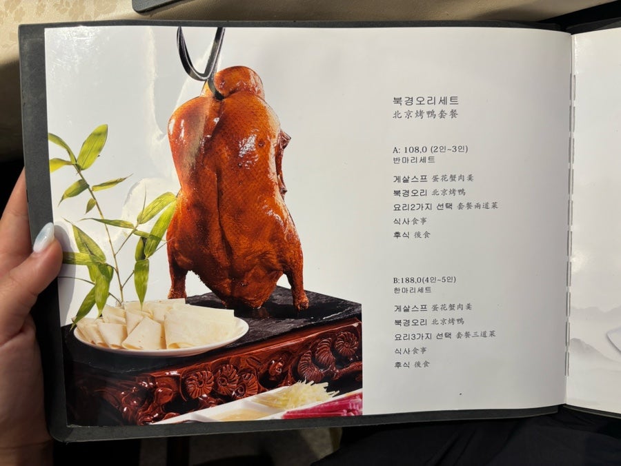 차이킹 북경오리 사진 3