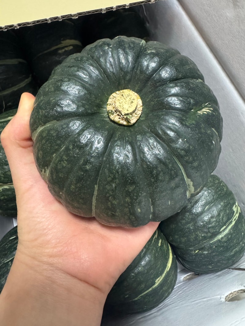 미니 밤단호박 맛있게 찌는 법