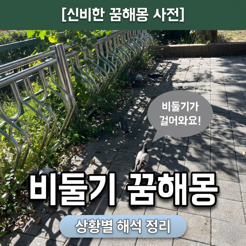 비둘기 꿈해몽 상황별 해석 정리