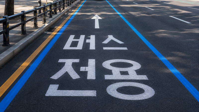 버스전용차로 위반, 시간대·구간 기준부터 확인하세요