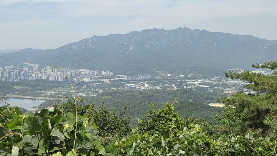 들밥나들이 사진 2