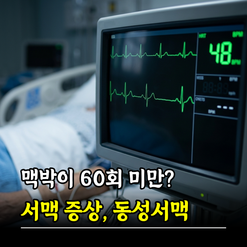 맥박이 60회 미만? 서맥 증상 동성서맥