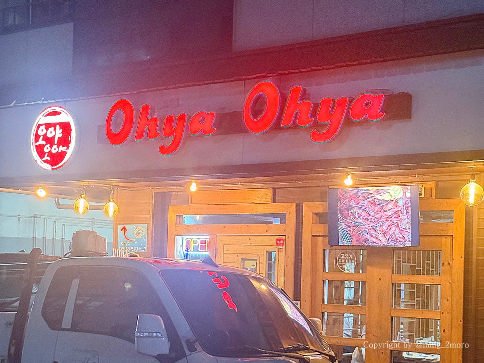 오야오야 사진 2