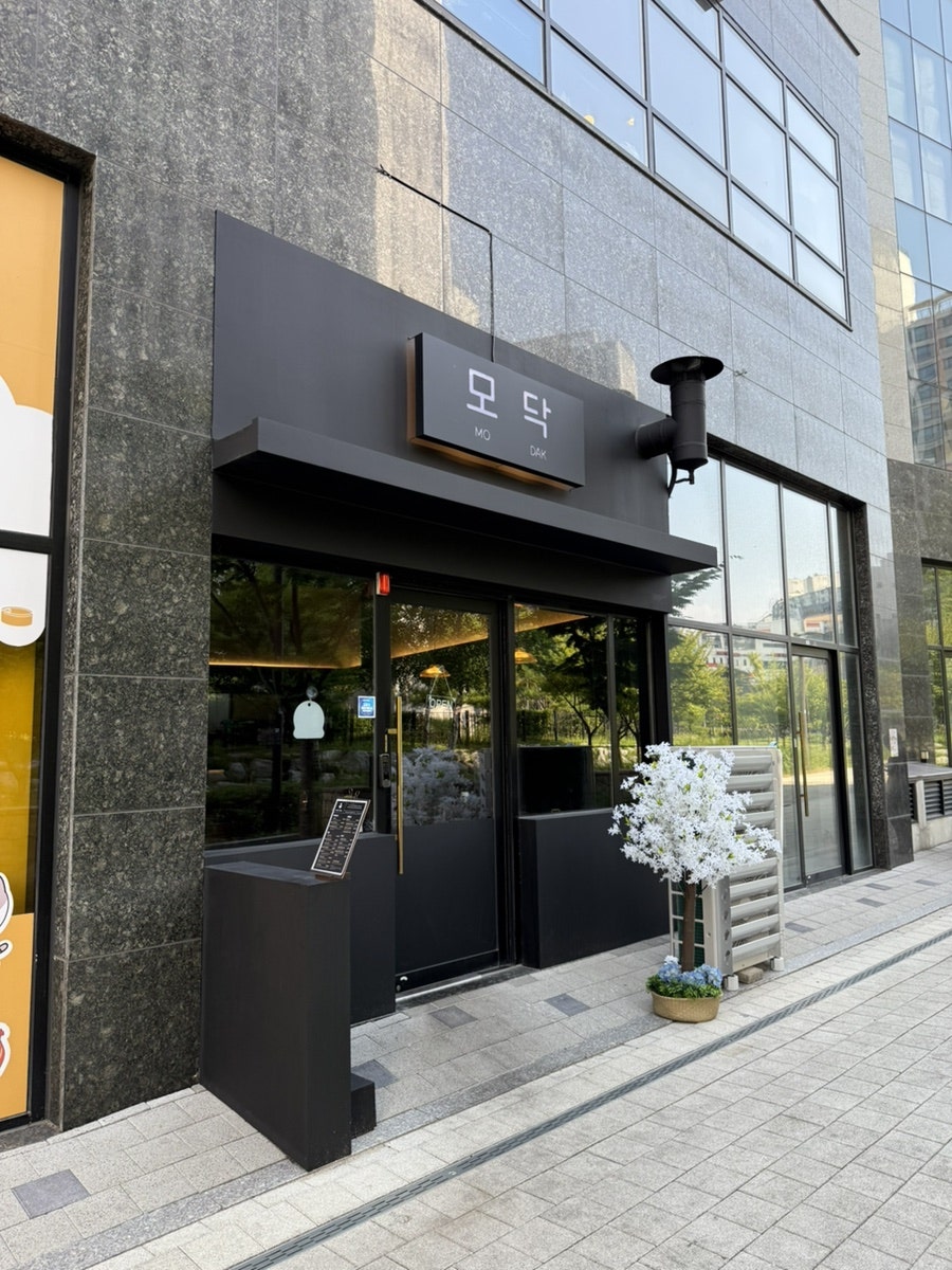 모닥 사진 2