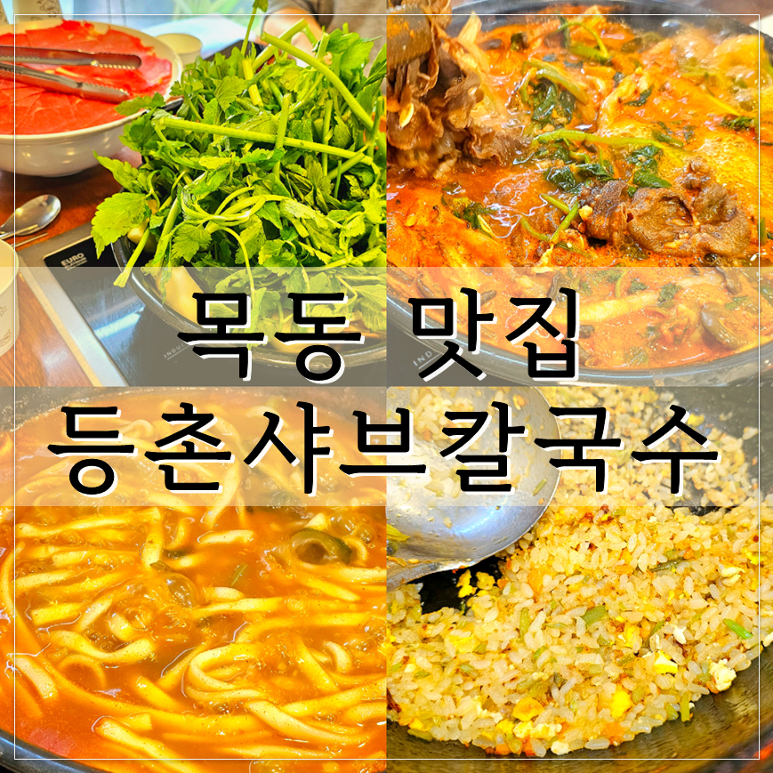 등촌샤브칼국수 목동2호점 사진 1