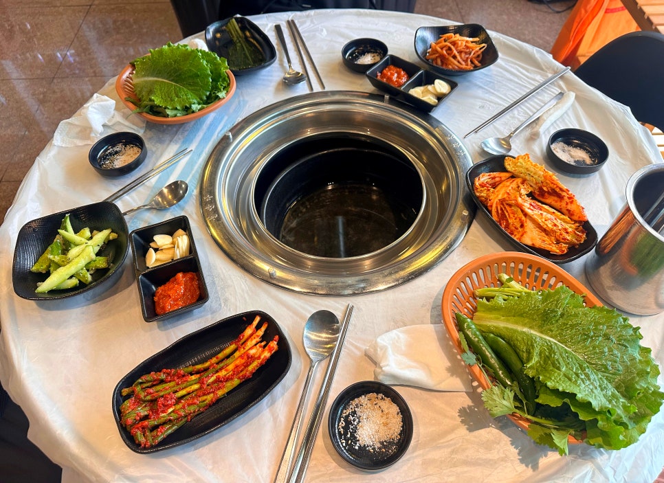 갈매기야 사진 6
