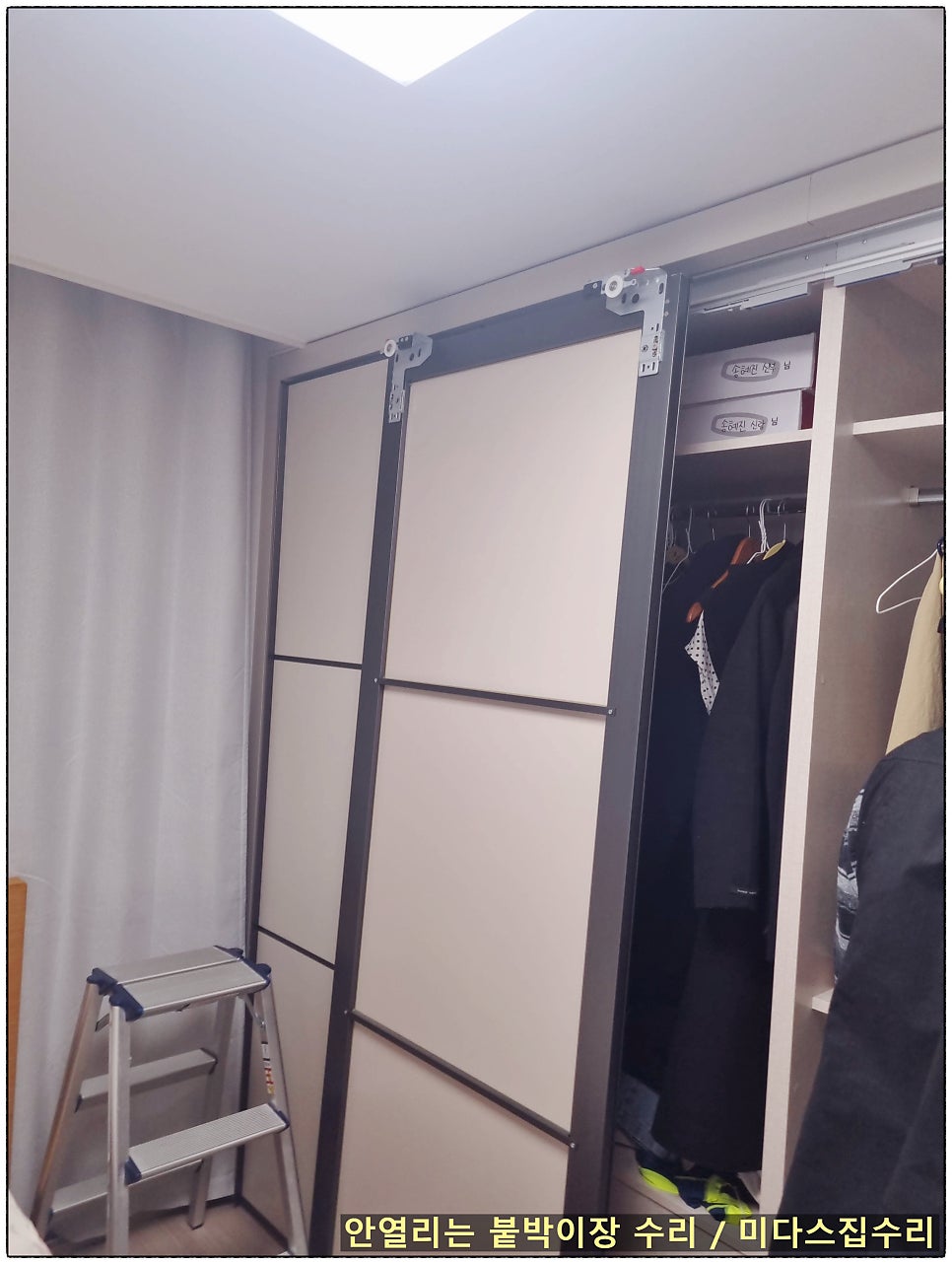 로라 사진 5